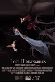 Lost Hummingbirds