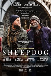 Sheepdog