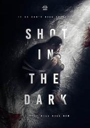 Shot in the Dark