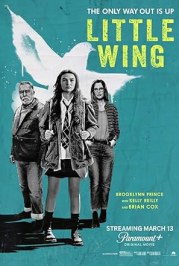Little Wing