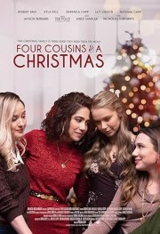 Four Cousins & a Christmas