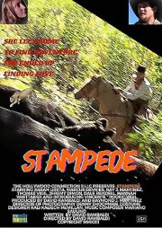 Stampede