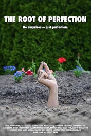 The Root of Perfection