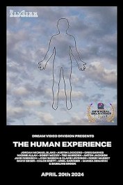 Dream Video Division Presents the Human Experience