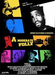 A Moderate Folly