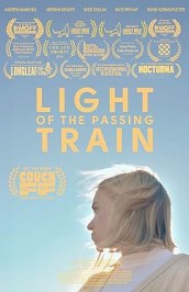 Light of the Passing Train