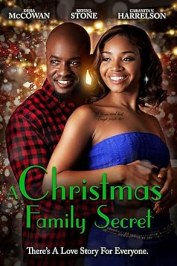 Christmas Family Secret