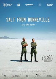 Salt from Bonneville