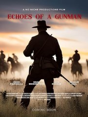Echoes of a Gunman