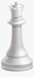 The Chess Game