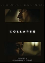 Collapse 2045