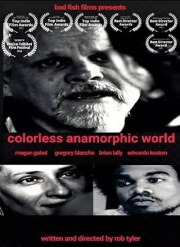 Colorless Anamorphic World