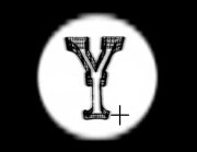 Y+