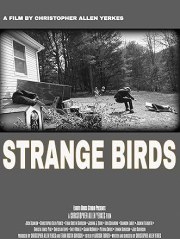 Strange Birds