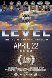 Level