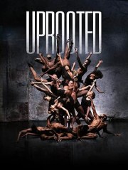 Uprooted: The Journey of Jazz Dance