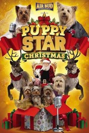 Puppy Star Christmas
