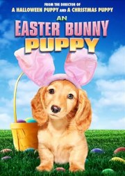 An Easter Bunny Puppy