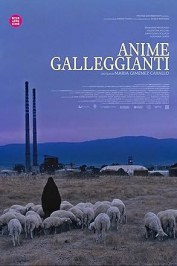 Anime galleggianti