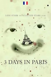 3 Days in Paris