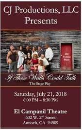 If These Walls Could Talk - The Stage Play