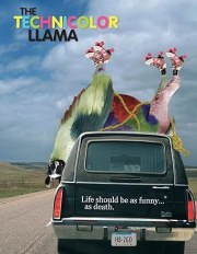 Technicolour Llama
