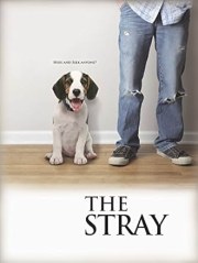 The Stray