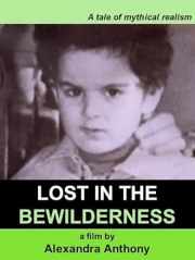 Lost in the Bewilderness