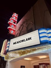 Meadowlark
