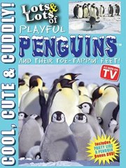 Lots and Lots of Playful Penguins: Cool, Cute and Cuddly Penguins Penguins