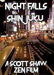 Night Falls in Shinjuku