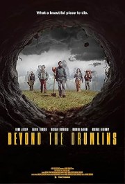Beyond the Drumlins