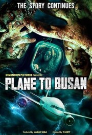 Plane to Busan