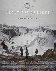 About Dry Grasses