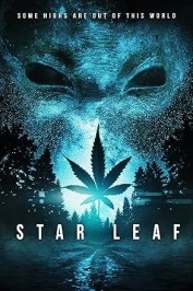 Star Leaf