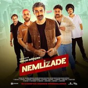 Nemlizade