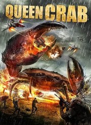 Queen Crab