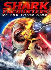 Shark Encounters of the Third Kind