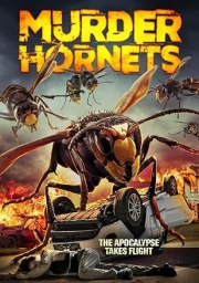 Angry Asian Murder Hornets