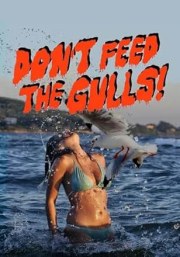 Don't Feed the Gulls