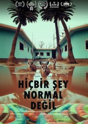 Hiçbir Sey Normal Degil