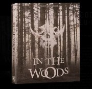 In the Woods