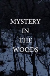 Mystery in the Woods