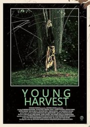 Young Harvest