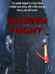 Snowy Night