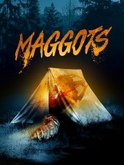 Maggots