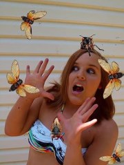 Invasion of the Killer Cicadas