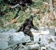 Coke Squatch