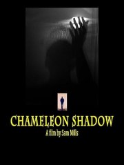 Chameleon Shadow