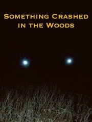 Something Crashed in the Woods
